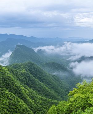 Top 5 des meilleures stations de montagne l'été en famille